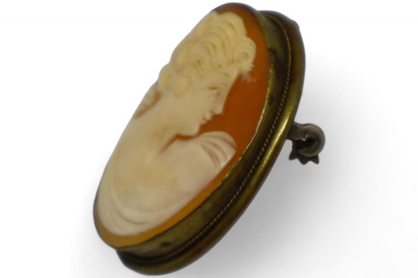 Antique Cameo Brooch & Pendant Framed in Brass - Image 2