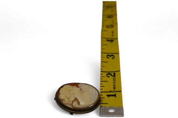 Antique Cameo Brooch & Pendant Framed in Brass - Image 8